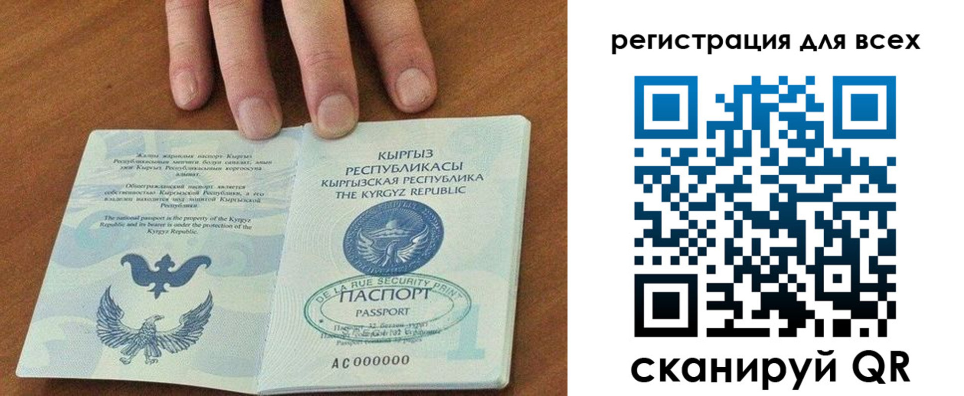 прописка для школы в Плавске