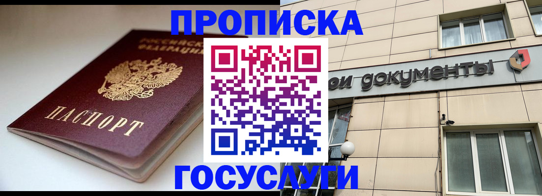временная регистрация госуслуги в Плавске